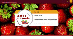 Desktop Screenshot of gandsorchards.com